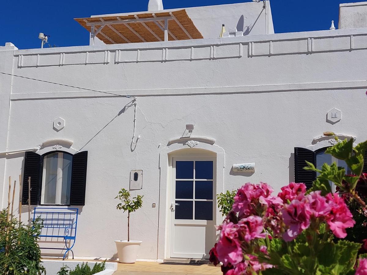 "Oliveiras" Appartement Typique Avec Terrasse Et Piscine Loulé Eksteriør billede