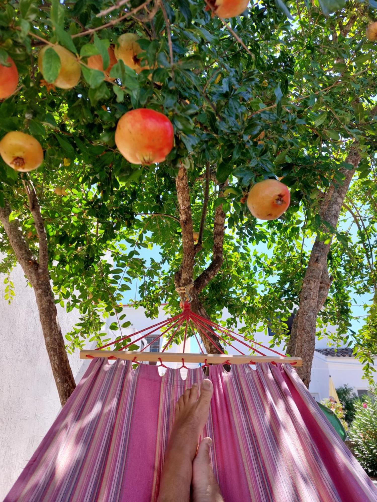 "Casa Oliveiras" Studio Avec Terrasse Et Piscine Loulé Eksteriør billede