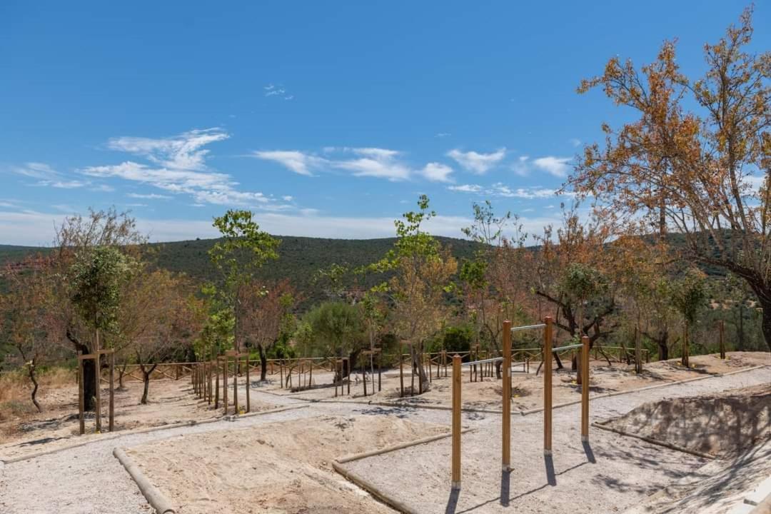 "Oliveiras" Appartement Typique Avec Terrasse Et Piscine Loulé Eksteriør billede